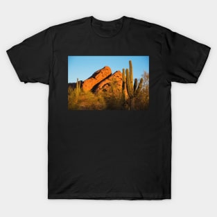 Papago Park Mountain at Sunrise Phoenix AZ Cactus T-Shirt